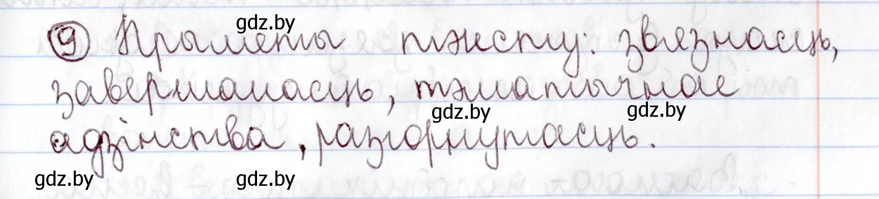 Решение номер 9 (страница 8) гдз по белорусскому языку 9 класс Валочка, Васюкович, учебник