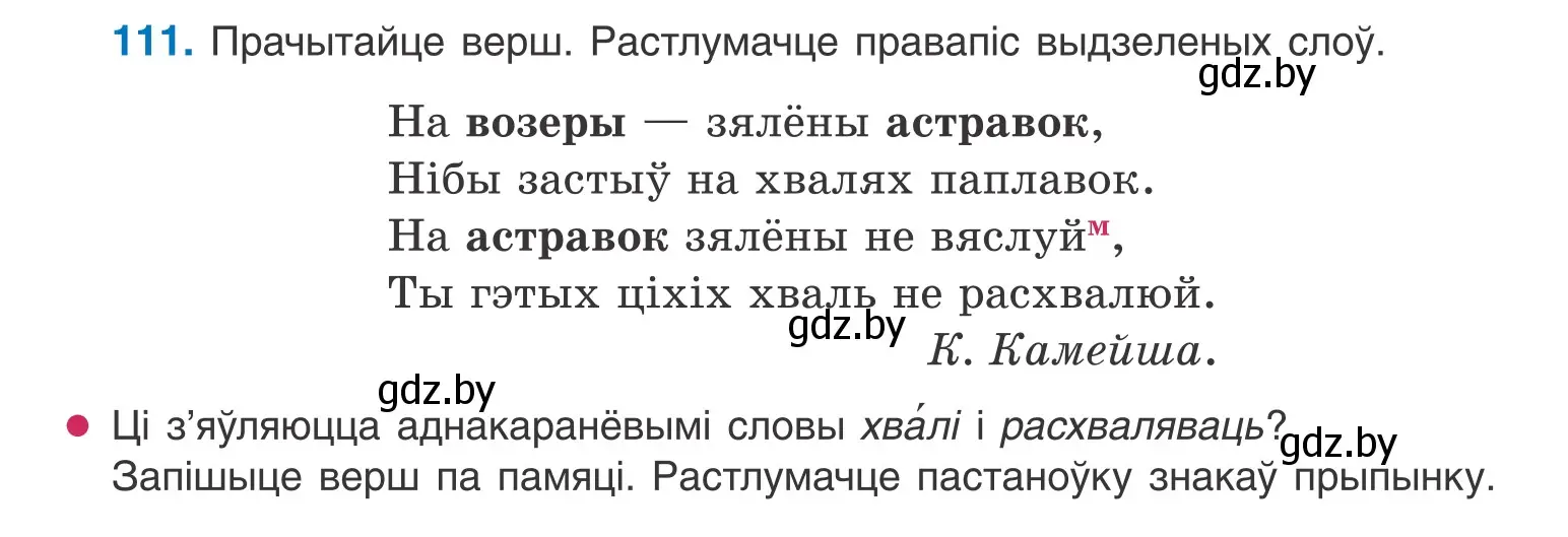 Условие номер 111 (страница 66) гдз по белорусскому языку 10 класс Валочка, Васюкович, учебник