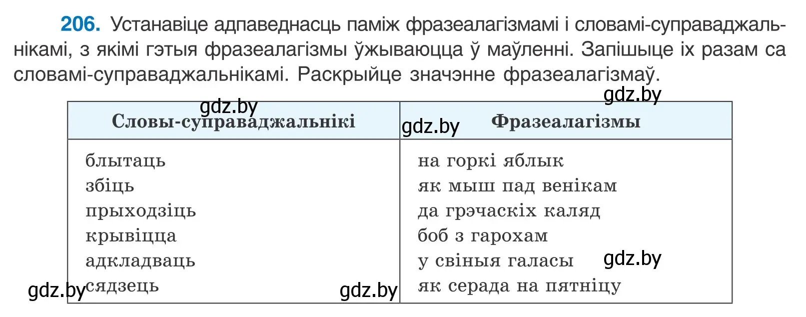 Условие номер 206 (страница 119) гдз по белорусскому языку 10 класс Валочка, Васюкович, учебник