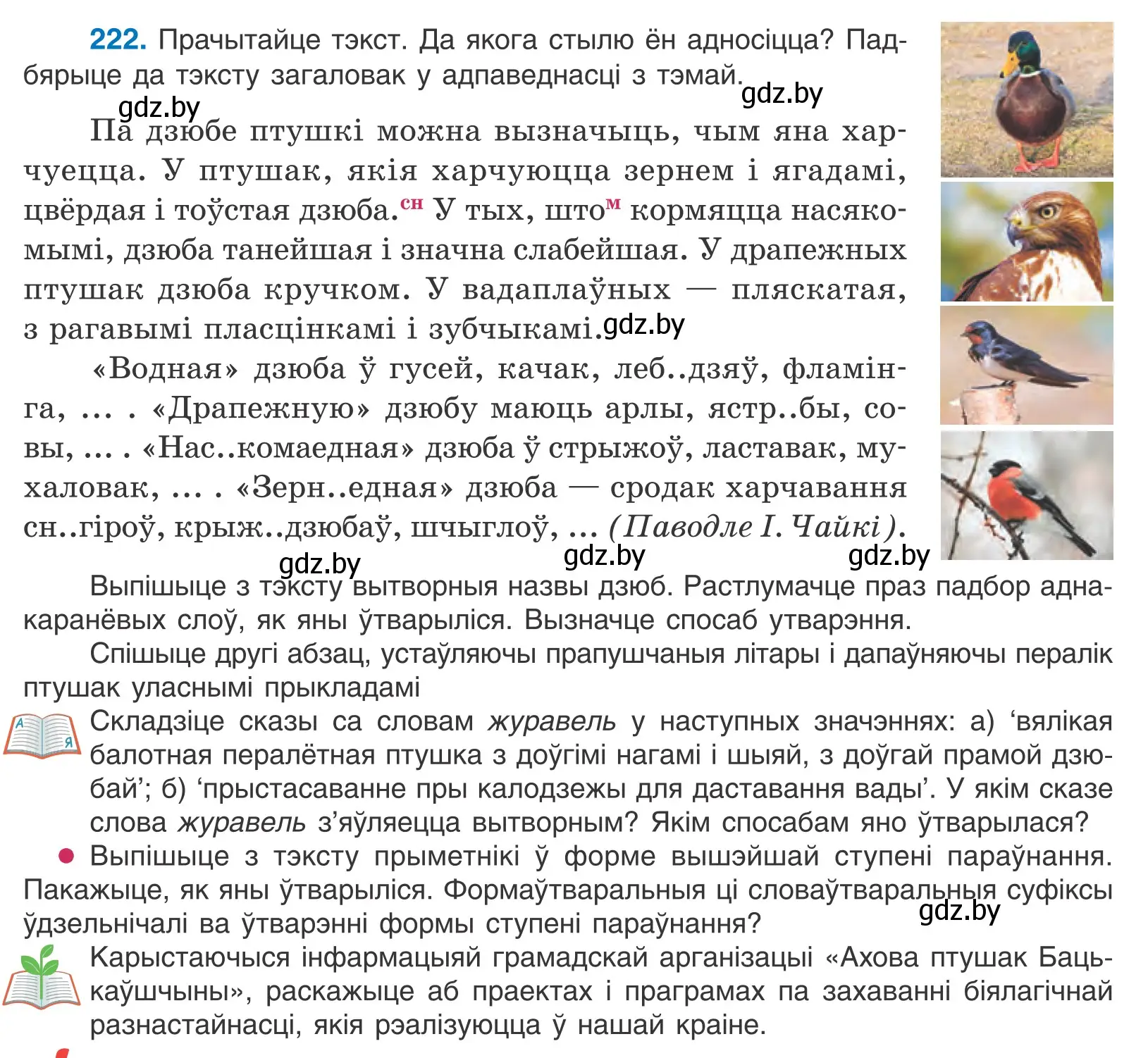 Условие номер 222 (страница 133) гдз по белорусскому языку 10 класс Валочка, Васюкович, учебник