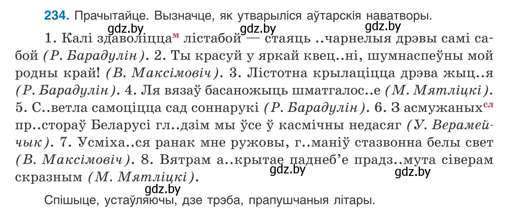 Условие номер 234 (страница 140) гдз по белорусскому языку 10 класс Валочка, Васюкович, учебник