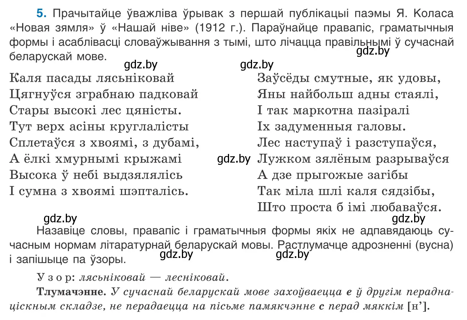 Условие номер 5 (страница 6) гдз по белорусскому языку 10 класс Валочка, Васюкович, учебник