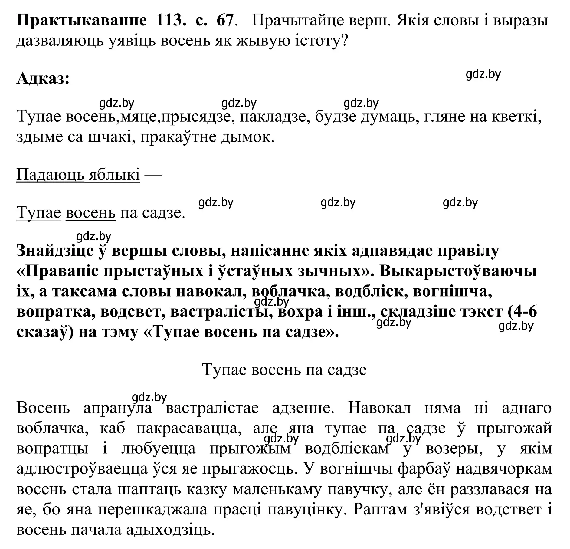 Решение номер 113 (страница 67) гдз по белорусскому языку 10 класс Валочка, Васюкович, учебник