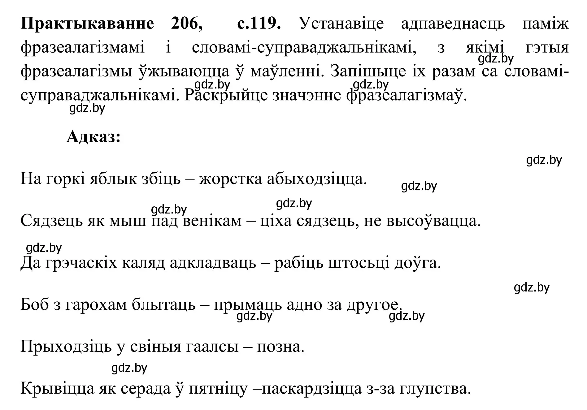 Решение номер 206 (страница 119) гдз по белорусскому языку 10 класс Валочка, Васюкович, учебник