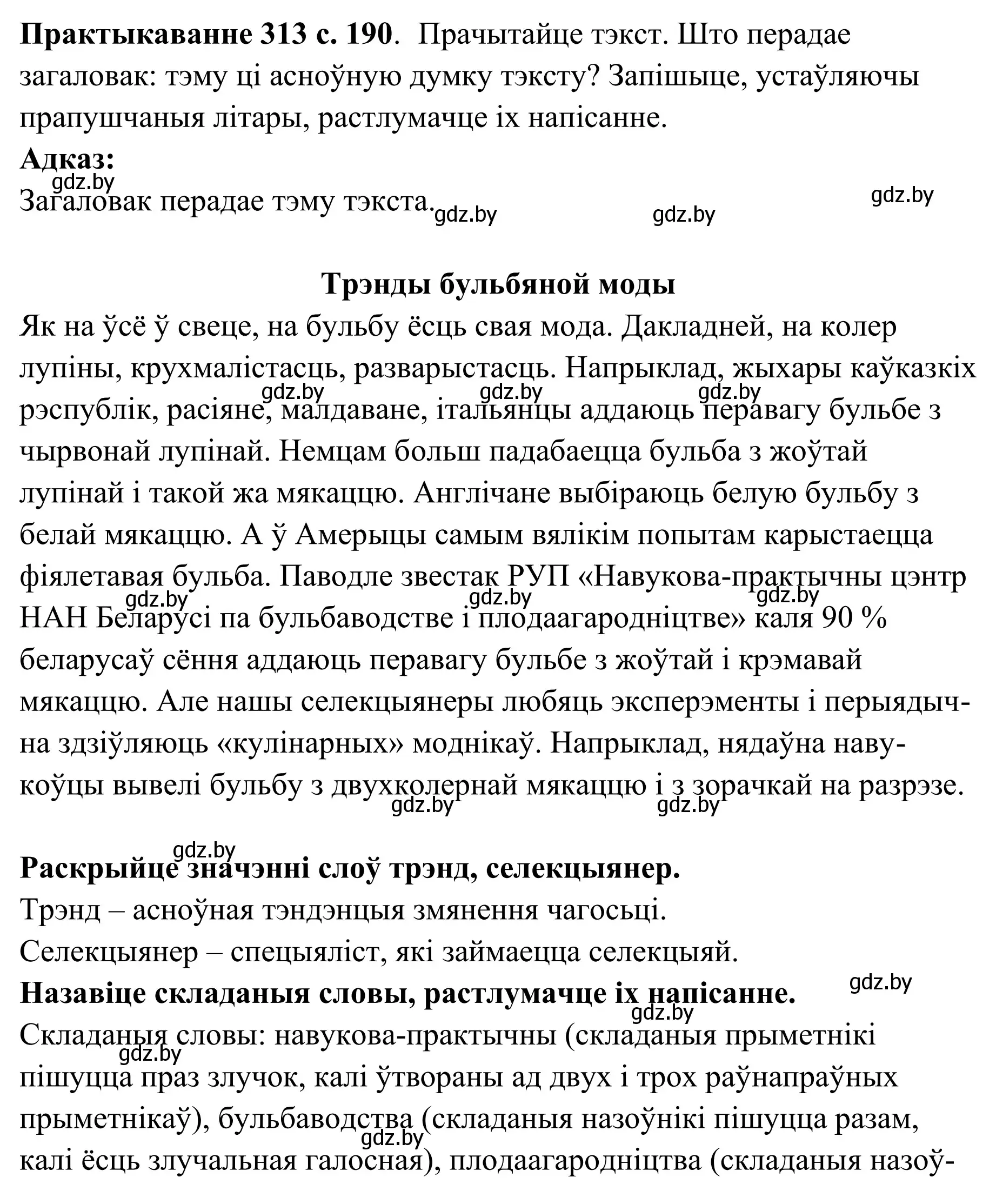 Решение номер 313 (страница 190) гдз по белорусскому языку 10 класс Валочка, Васюкович, учебник