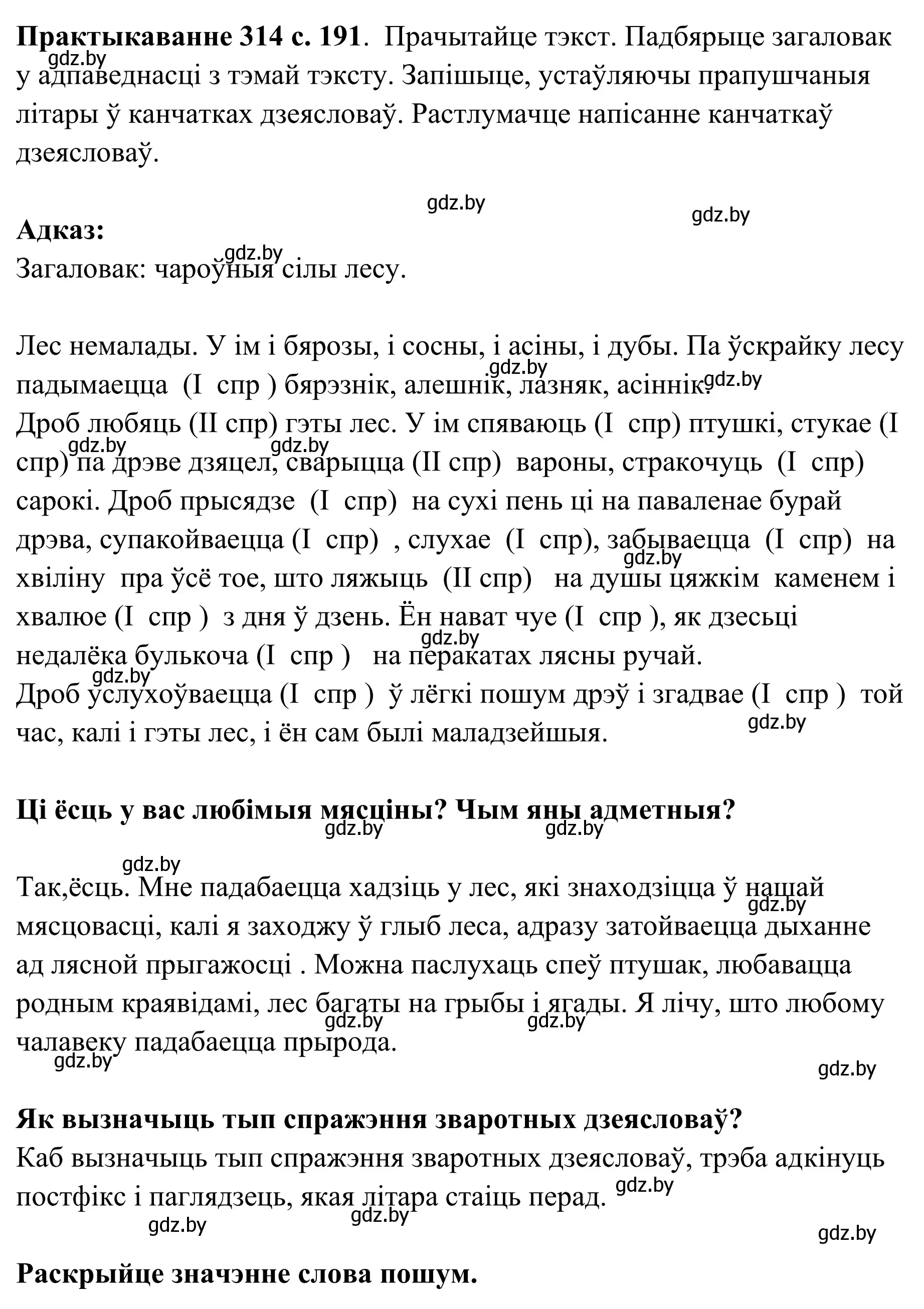 Решение номер 314 (страница 191) гдз по белорусскому языку 10 класс Валочка, Васюкович, учебник