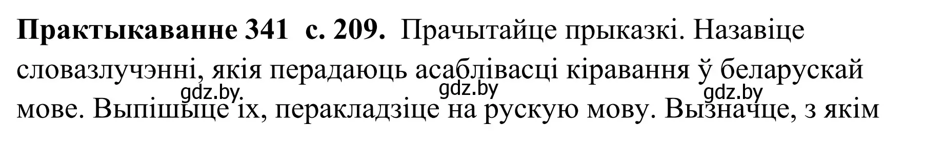 Решение номер 341 (страница 209) гдз по белорусскому языку 10 класс Валочка, Васюкович, учебник