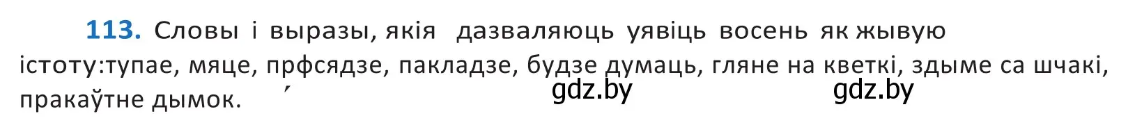 Решение 2. номер 113 (страница 67) гдз по белорусскому языку 10 класс Валочка, Васюкович, учебник