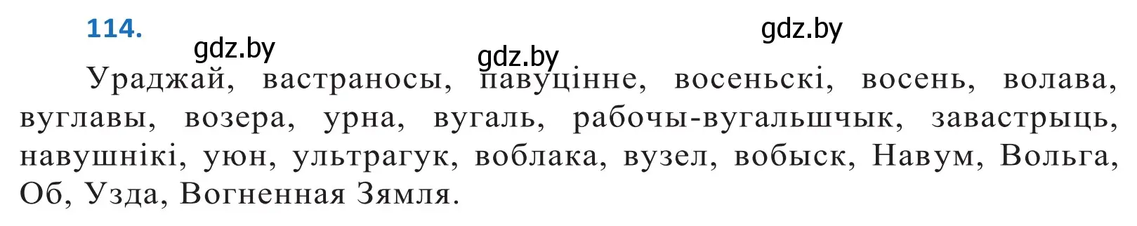 Решение 2. номер 114 (страница 67) гдз по белорусскому языку 10 класс Валочка, Васюкович, учебник