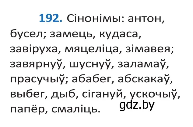 Решение 2. номер 192 (страница 113) гдз по белорусскому языку 10 класс Валочка, Васюкович, учебник