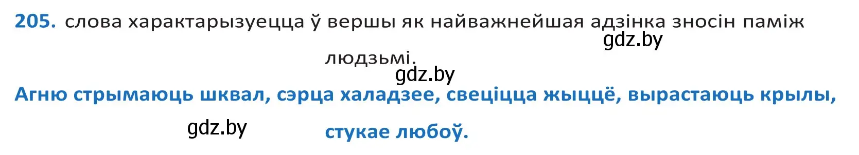 Решение 2. номер 205 (страница 118) гдз по белорусскому языку 10 класс Валочка, Васюкович, учебник