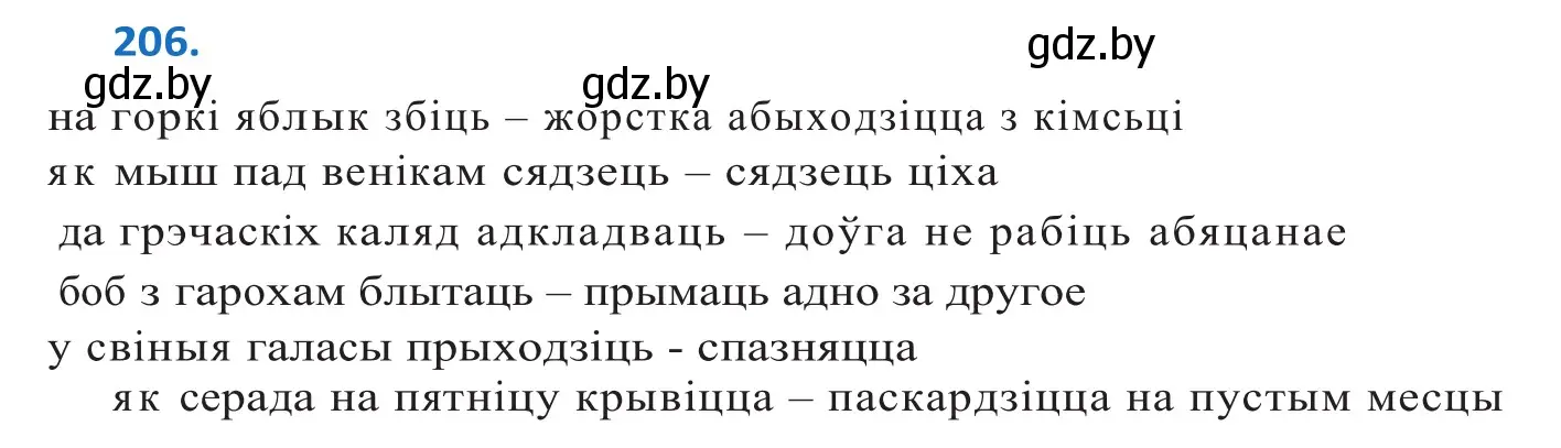 Решение 2. номер 206 (страница 119) гдз по белорусскому языку 10 класс Валочка, Васюкович, учебник