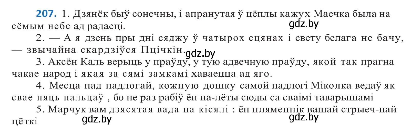 Решение 2. номер 207 (страница 119) гдз по белорусскому языку 10 класс Валочка, Васюкович, учебник