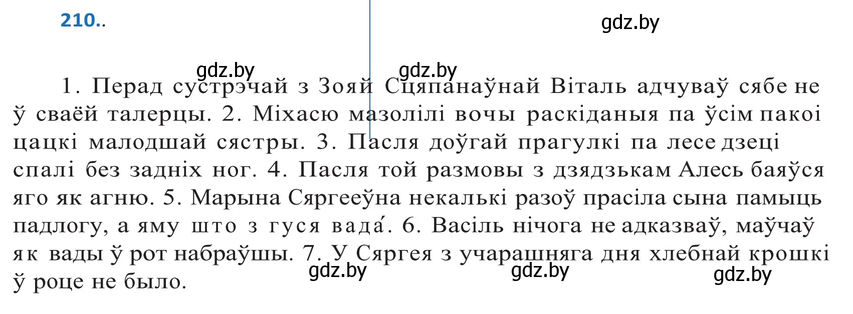 Решение 2. номер 210 (страница 120) гдз по белорусскому языку 10 класс Валочка, Васюкович, учебник