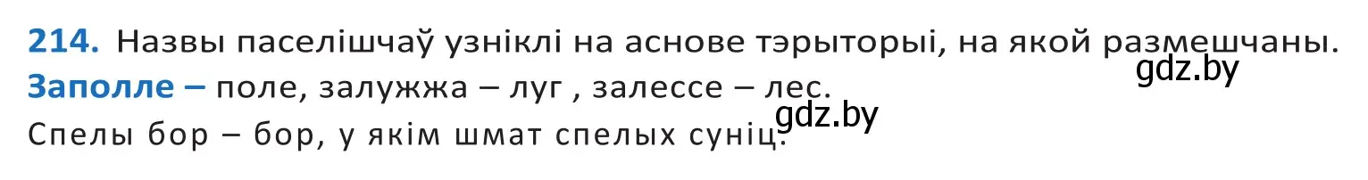 Решение 2. номер 214 (страница 126) гдз по белорусскому языку 10 класс Валочка, Васюкович, учебник