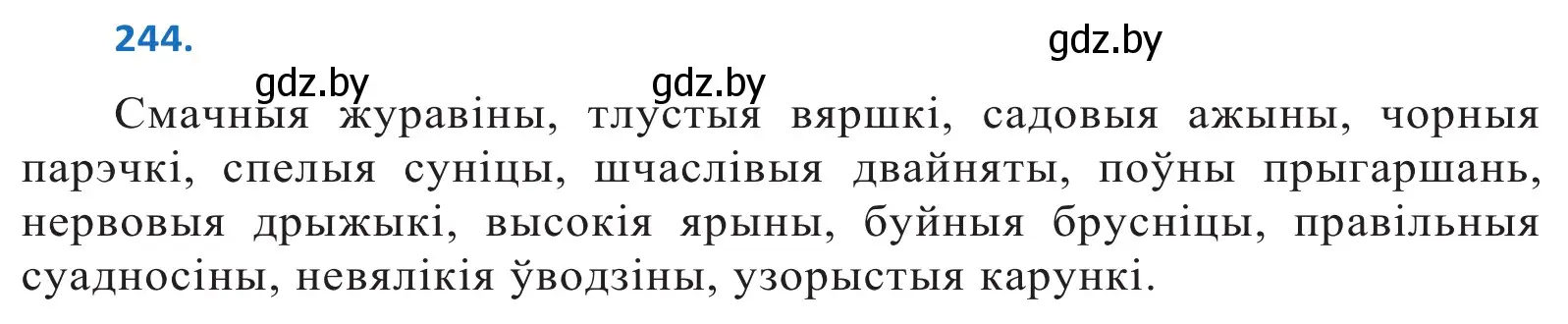 Решение 2. номер 244 (страница 149) гдз по белорусскому языку 10 класс Валочка, Васюкович, учебник