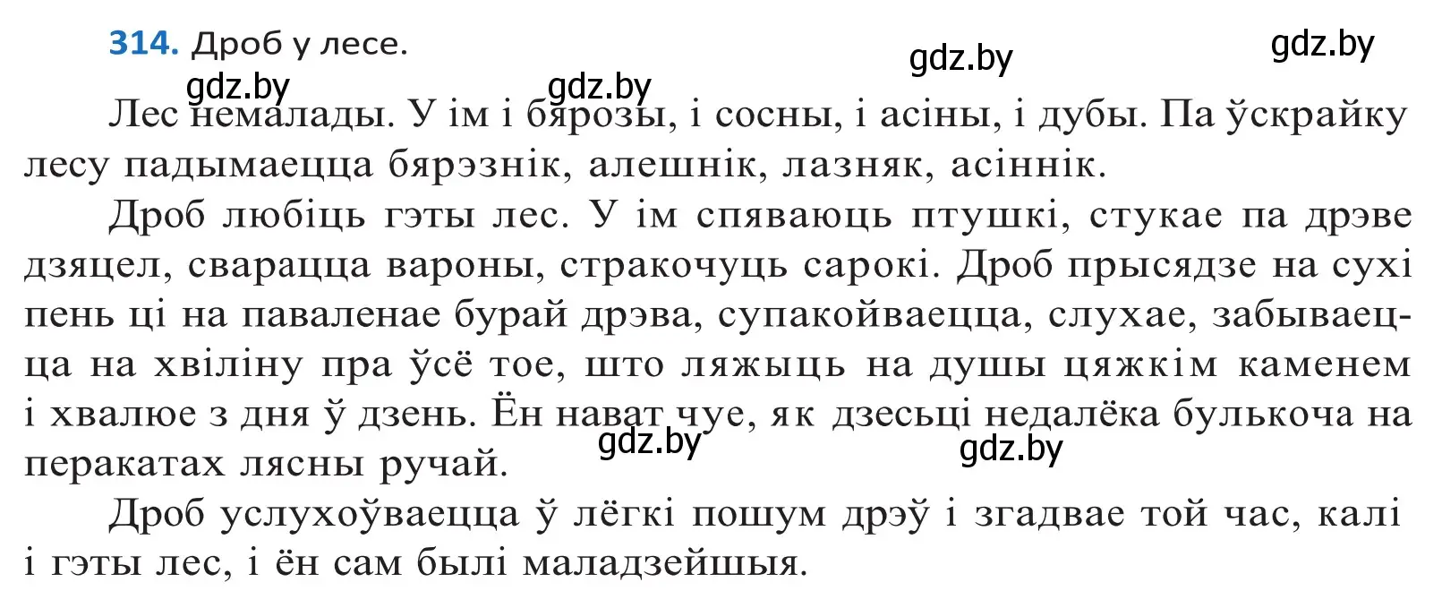 Решение 2. номер 314 (страница 191) гдз по белорусскому языку 10 класс Валочка, Васюкович, учебник