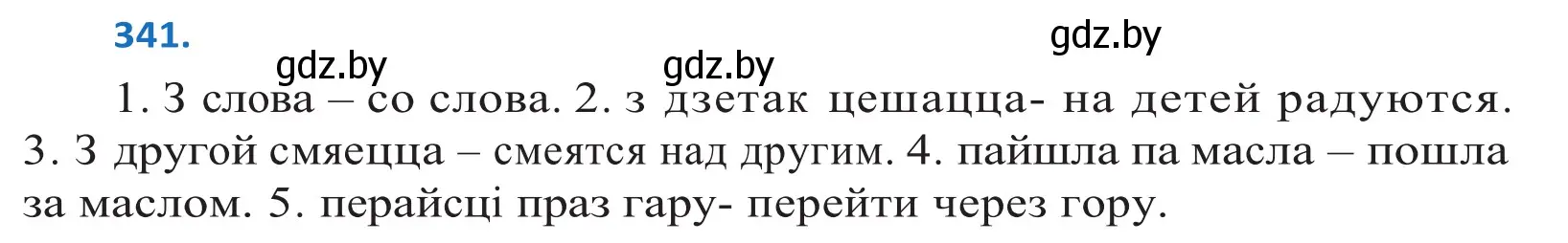 Решение 2. номер 341 (страница 209) гдз по белорусскому языку 10 класс Валочка, Васюкович, учебник