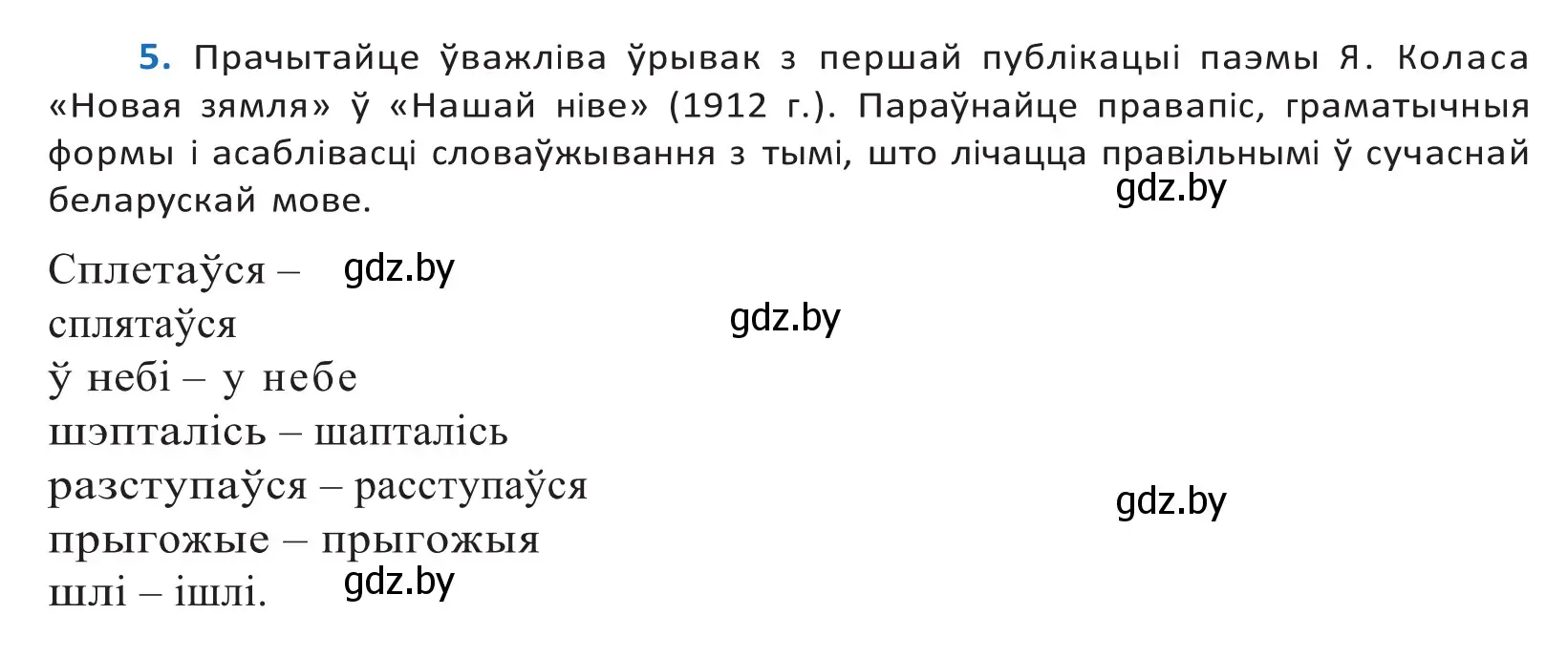 Решение 2. номер 5 (страница 6) гдз по белорусскому языку 10 класс Валочка, Васюкович, учебник