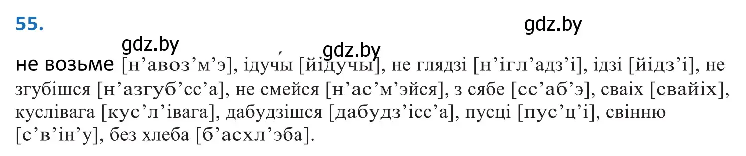 Решение 2. номер 55 (страница 38) гдз по белорусскому языку 10 класс Валочка, Васюкович, учебник