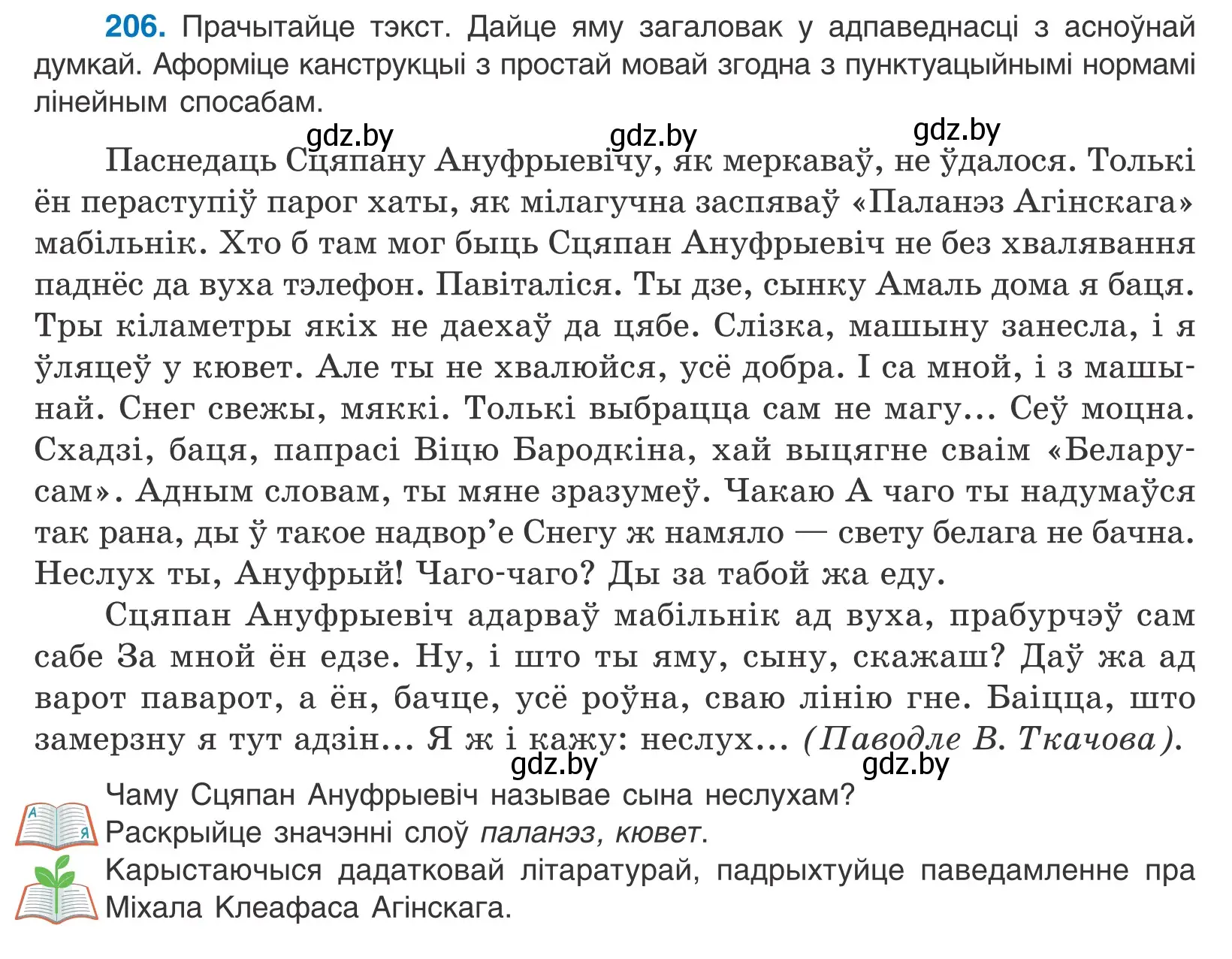 Условие номер 206 (страница 142) гдз по белорусскому языку 11 класс Валочка, Васюкович, учебник