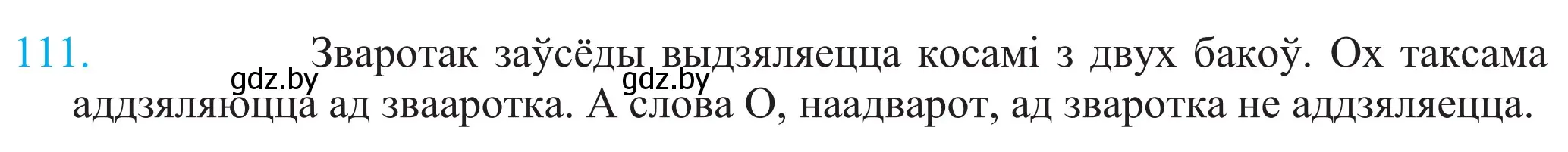 Решение 2. номер 111 (страница 80) гдз по белорусскому языку 11 класс Валочка, Васюкович, учебник