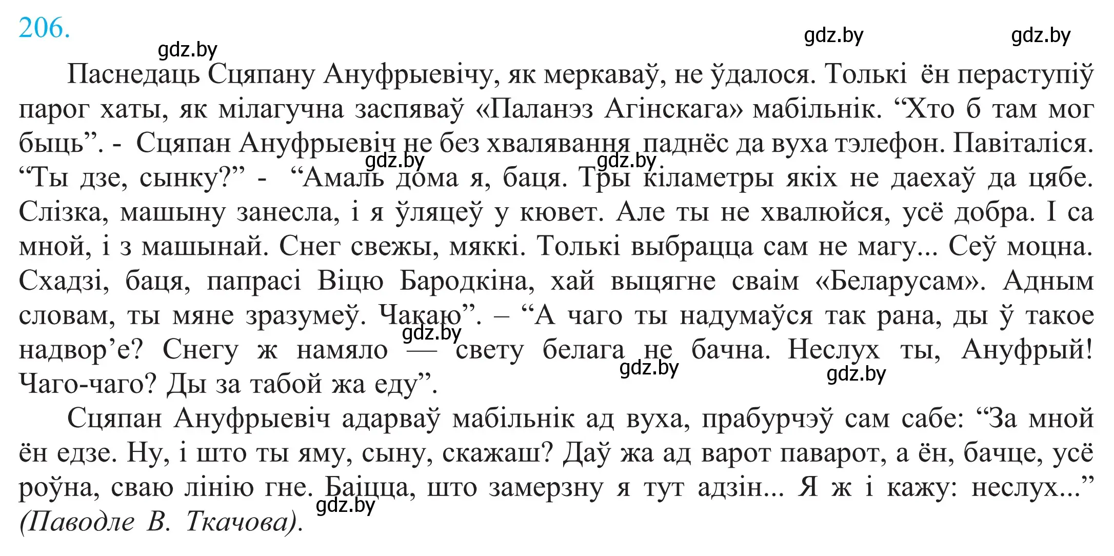 Решение 2. номер 206 (страница 142) гдз по белорусскому языку 11 класс Валочка, Васюкович, учебник