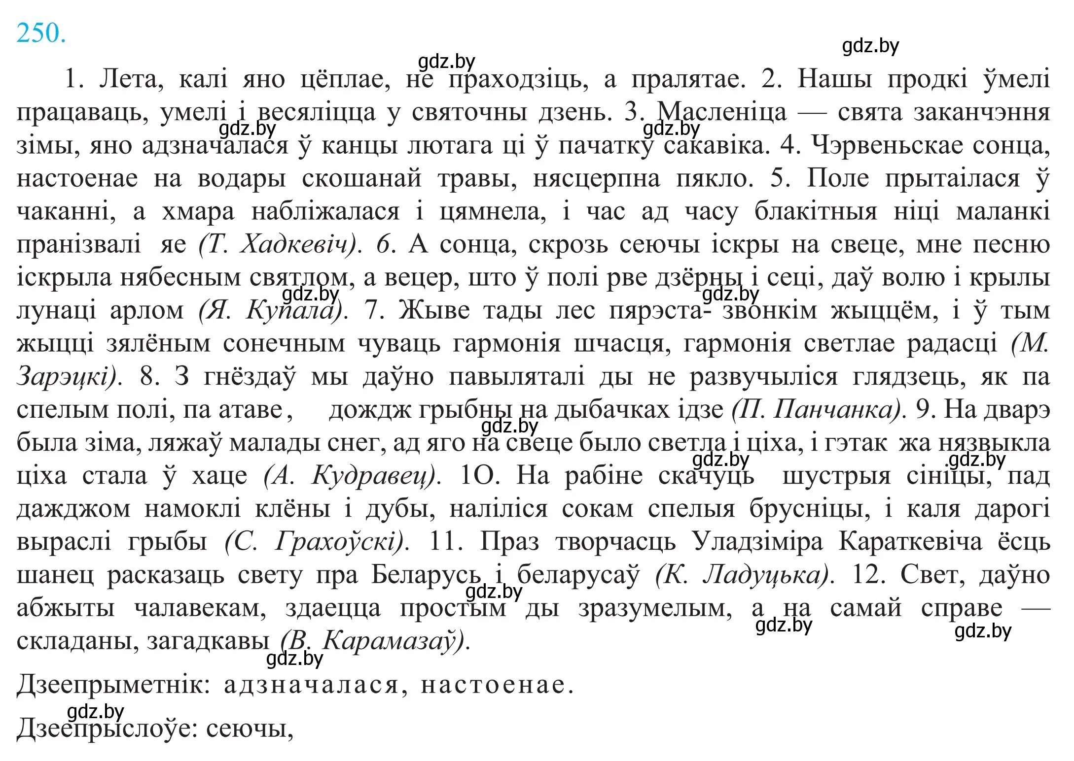 Решение 2. номер 250 (страница 169) гдз по белорусскому языку 11 класс Валочка, Васюкович, учебник