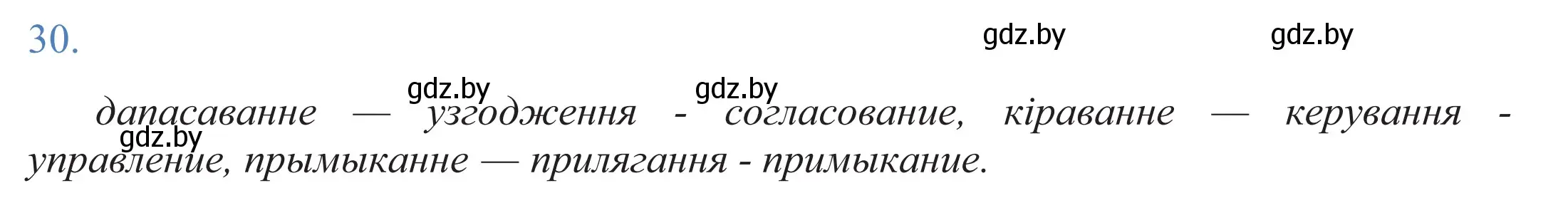 Решение 2. номер 30 (страница 24) гдз по белорусскому языку 11 класс Валочка, Васюкович, учебник