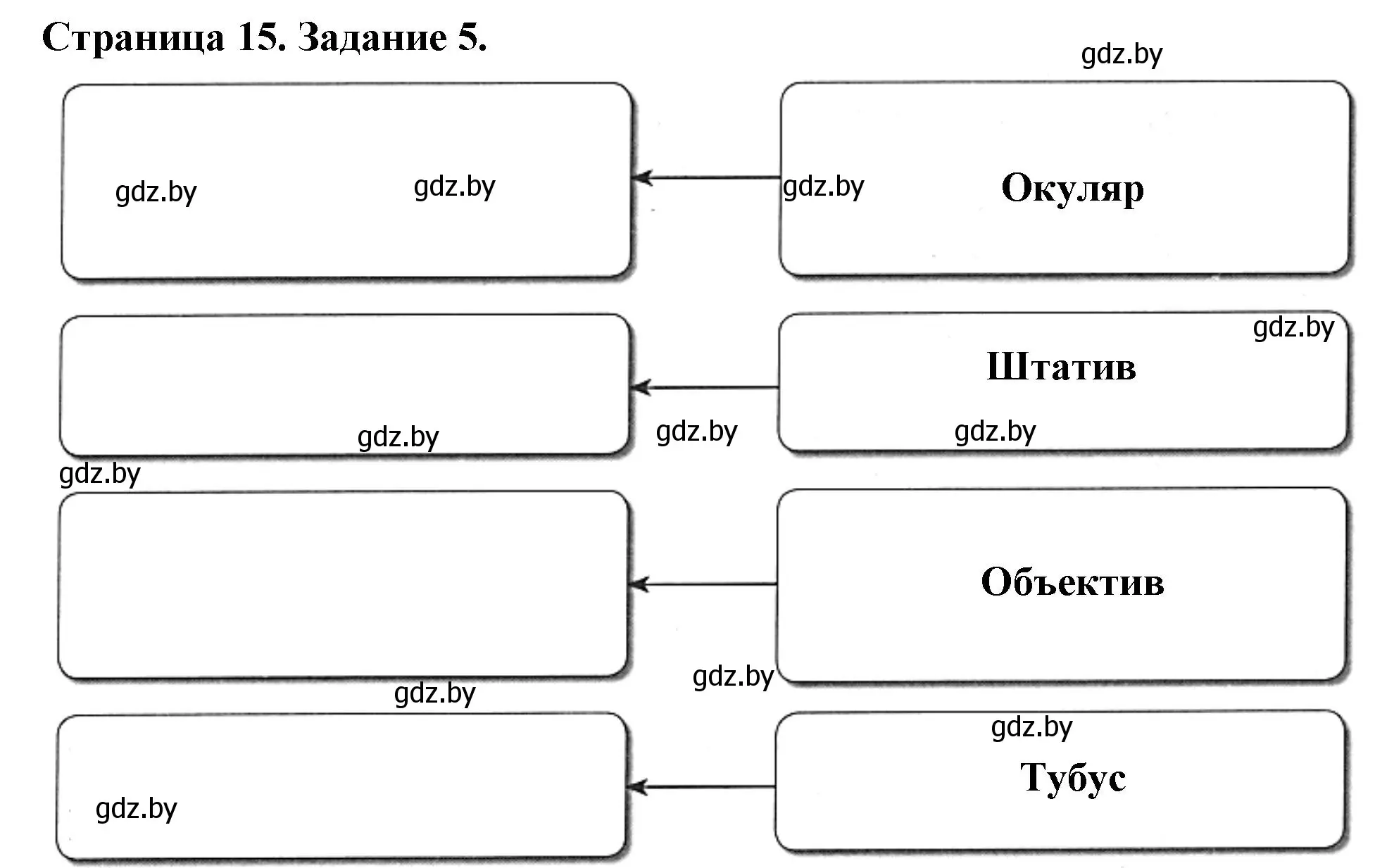 Решение номер 5 (страница 15) гдз по биологии 6 класс Лисов, Борщевская, рабочая тетрадь