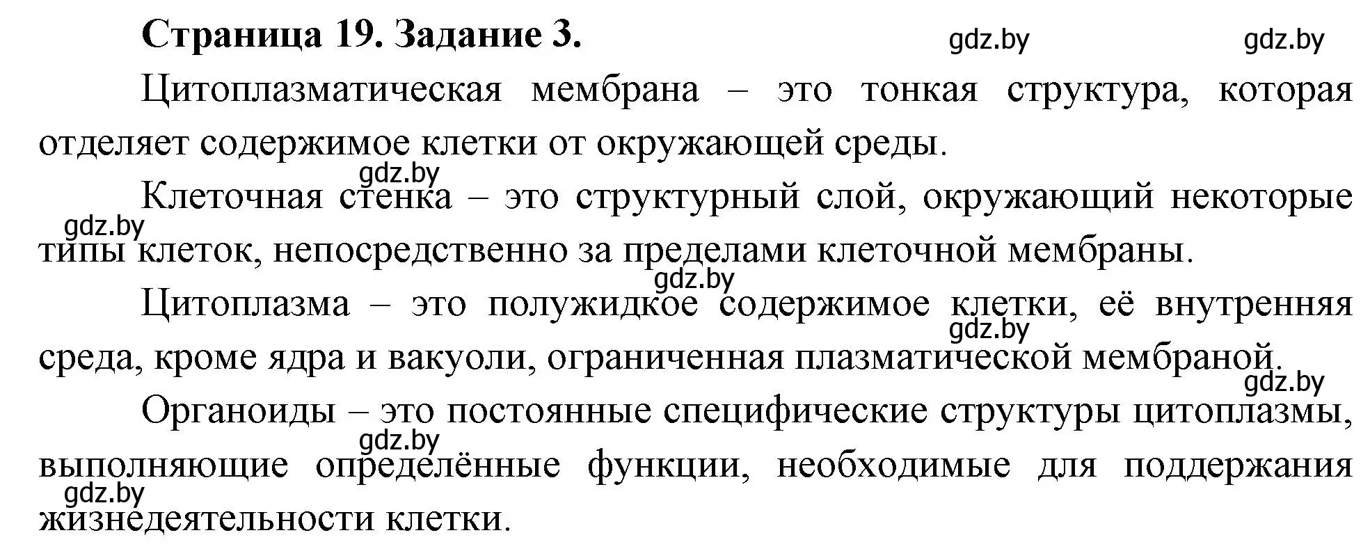 Решение номер 3 (страница 19) гдз по биологии 6 класс Лисов, Борщевская, рабочая тетрадь