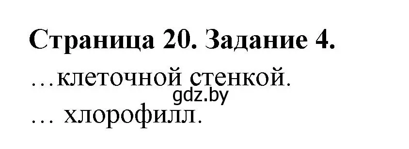 Решение номер 4 (страница 20) гдз по биологии 6 класс Лисов, Борщевская, рабочая тетрадь