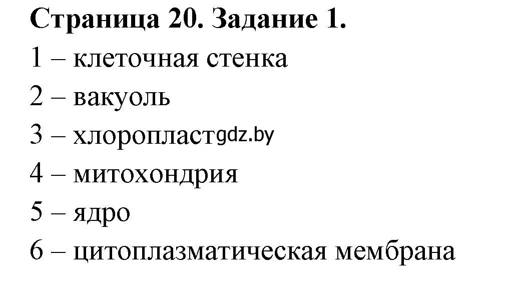 Решение номер 1 (страница 20) гдз по биологии 6 класс Лисов, Борщевская, рабочая тетрадь