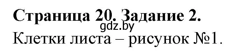 Решение номер 2 (страница 20) гдз по биологии 6 класс Лисов, Борщевская, рабочая тетрадь