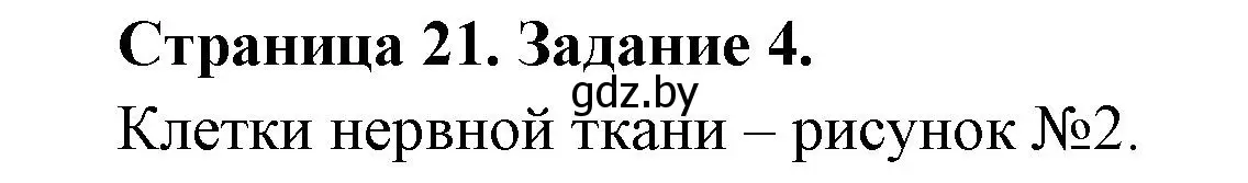 Решение номер 4 (страница 21) гдз по биологии 6 класс Лисов, Борщевская, рабочая тетрадь