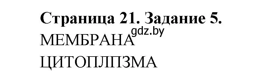 Решение номер 5 (страница 21) гдз по биологии 6 класс Лисов, Борщевская, рабочая тетрадь