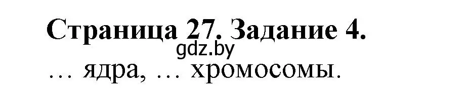 Решение номер 4 (страница 27) гдз по биологии 6 класс Лисов, Борщевская, рабочая тетрадь