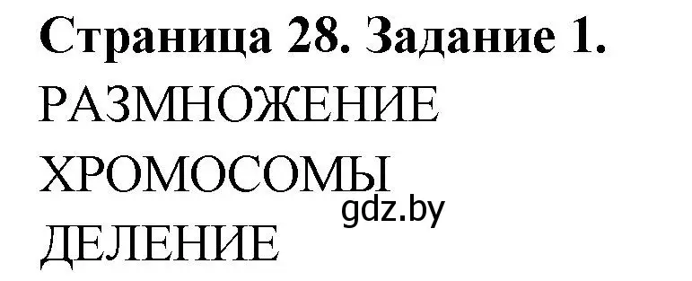 Решение номер 1 (страница 28) гдз по биологии 6 класс Лисов, Борщевская, рабочая тетрадь