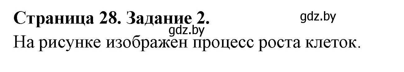 Решение номер 2 (страница 28) гдз по биологии 6 класс Лисов, Борщевская, рабочая тетрадь