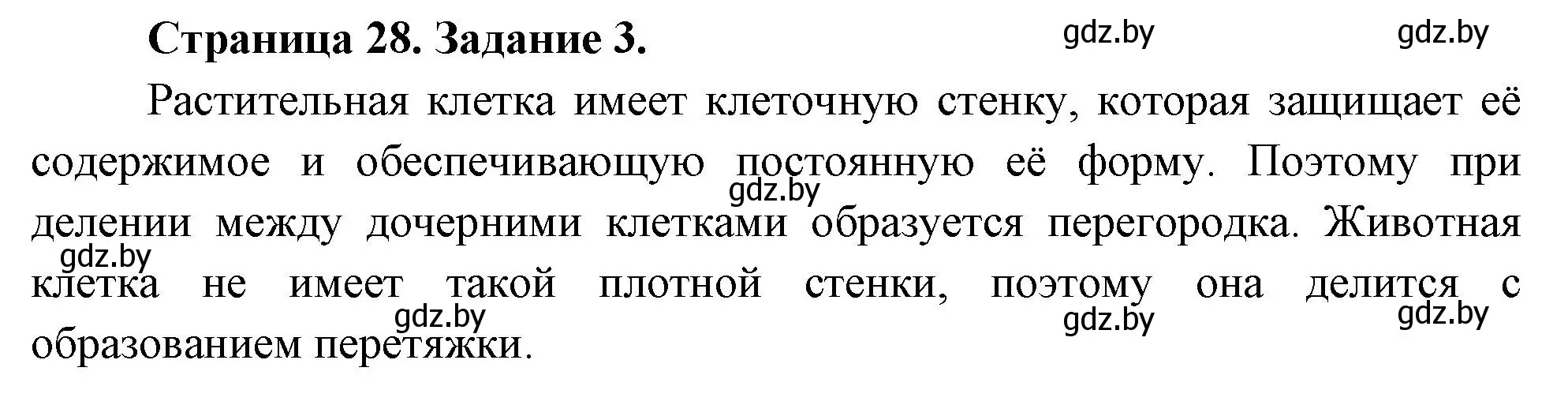 Решение номер 3 (страница 28) гдз по биологии 6 класс Лисов, Борщевская, рабочая тетрадь