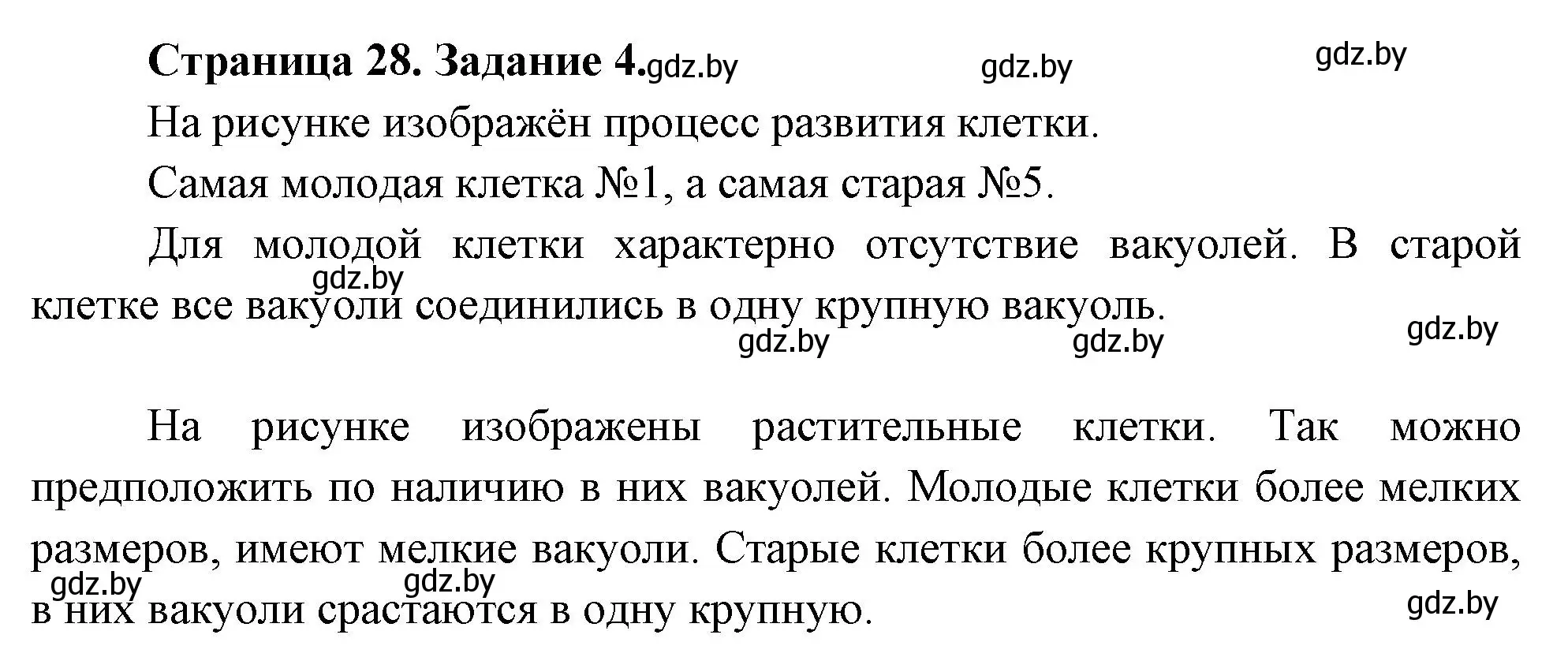 Решение номер 4 (страница 28) гдз по биологии 6 класс Лисов, Борщевская, рабочая тетрадь