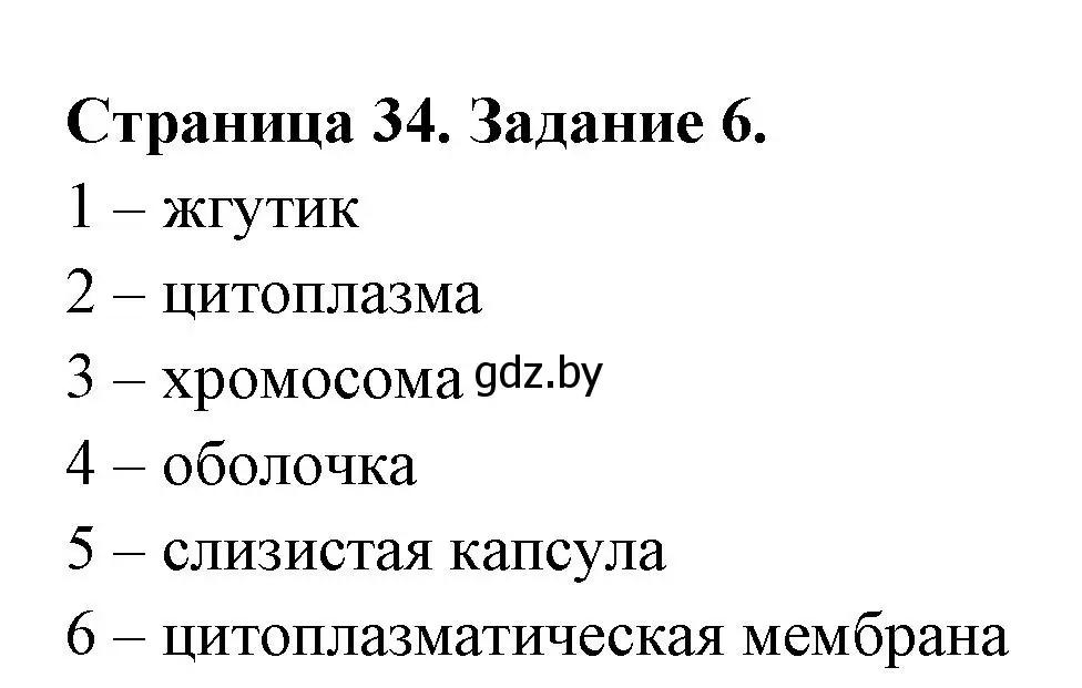 Решение номер 6 (страница 34) гдз по биологии 6 класс Лисов, Борщевская, рабочая тетрадь