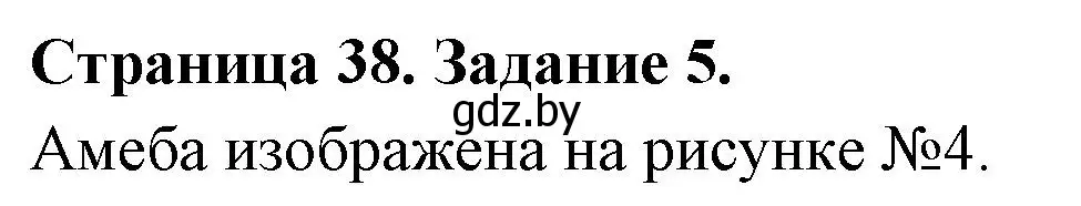 Решение номер 5 (страница 38) гдз по биологии 6 класс Лисов, Борщевская, рабочая тетрадь