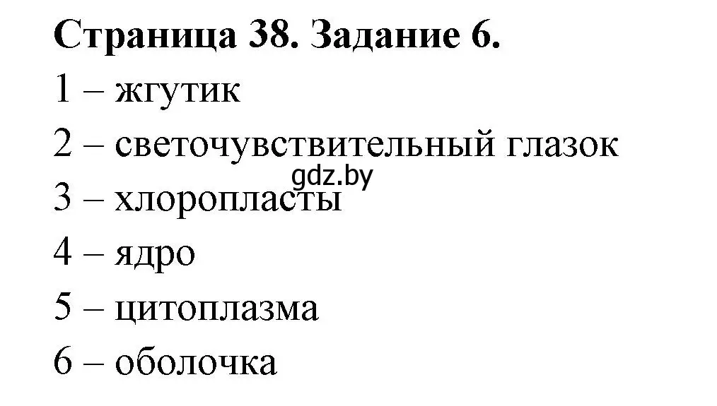 Решение номер 6 (страница 38) гдз по биологии 6 класс Лисов, Борщевская, рабочая тетрадь