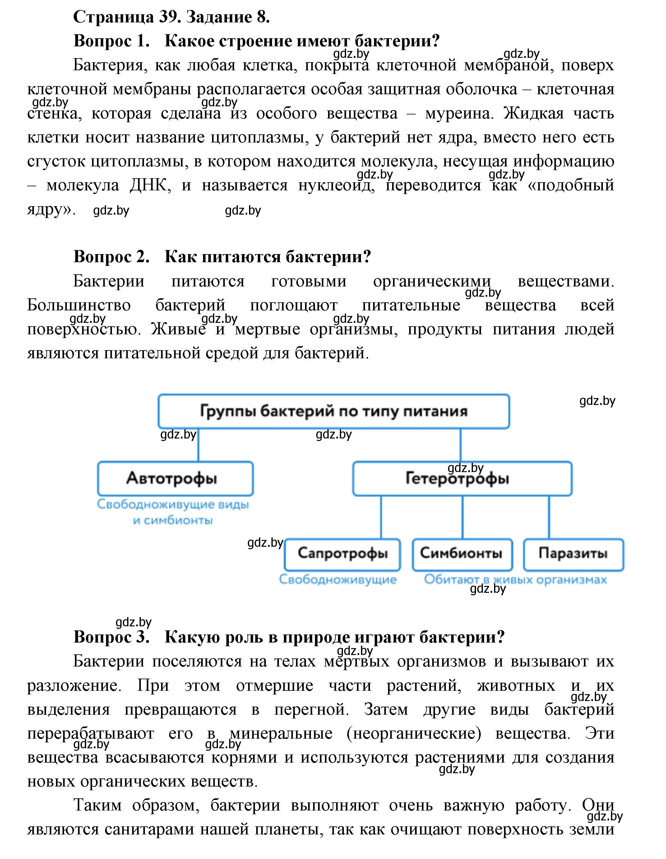 Решение номер 8 (страница 39) гдз по биологии 6 класс Лисов, Борщевская, рабочая тетрадь