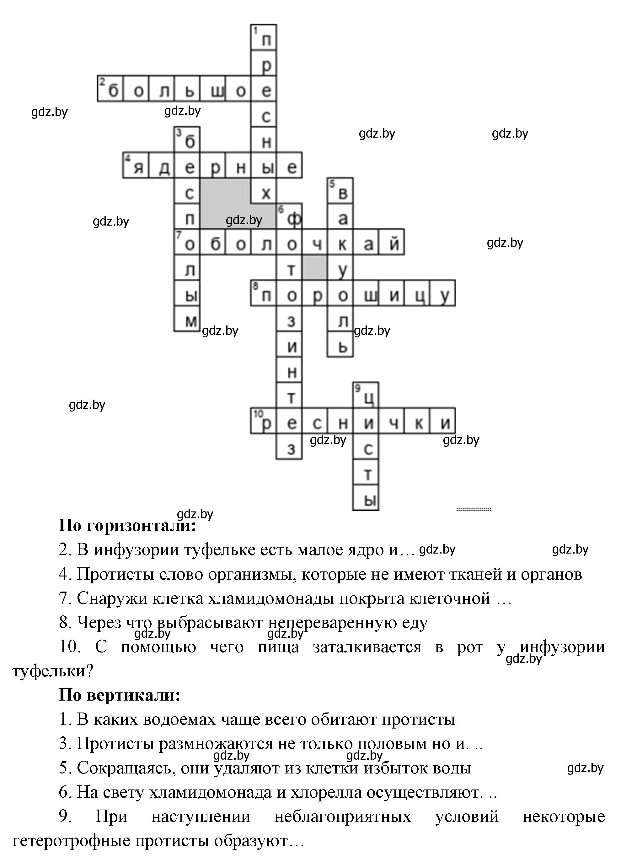 Решение номер 4 (страница 40) гдз по биологии 6 класс Лисов, Борщевская, рабочая тетрадь