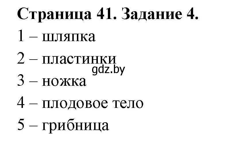 Решение номер 4 (страница 41) гдз по биологии 6 класс Лисов, Борщевская, рабочая тетрадь