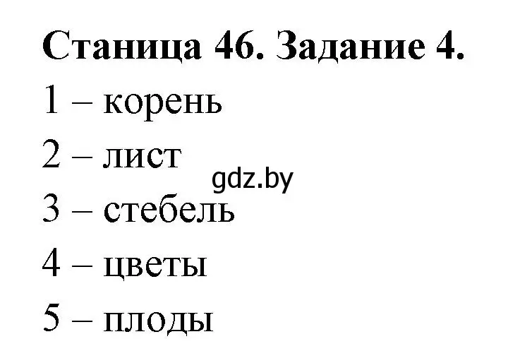 Решение номер 4 (страница 46) гдз по биологии 6 класс Лисов, Борщевская, рабочая тетрадь