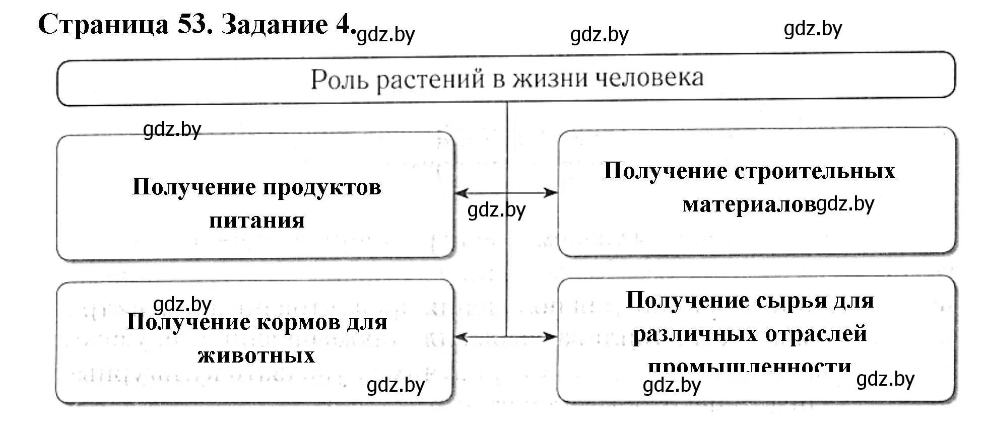 Решение номер 4 (страница 53) гдз по биологии 6 класс Лисов, Борщевская, рабочая тетрадь