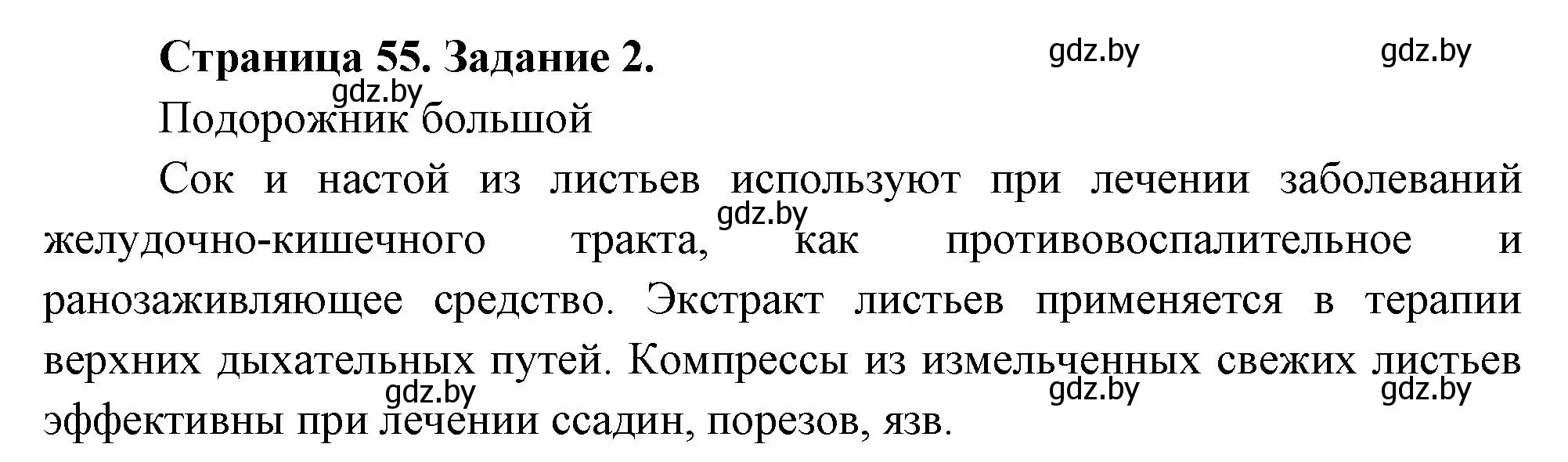 Решение номер 2 (страница 55) гдз по биологии 6 класс Лисов, Борщевская, рабочая тетрадь